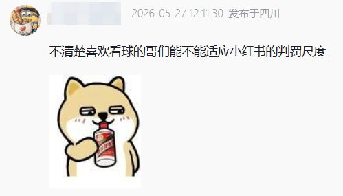 一想到虎扑老哥为了世界杯冲进小红书 我就觉得精彩！