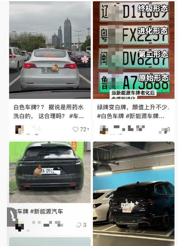 B6C9104C9D265145E9B8E583E396377C.png