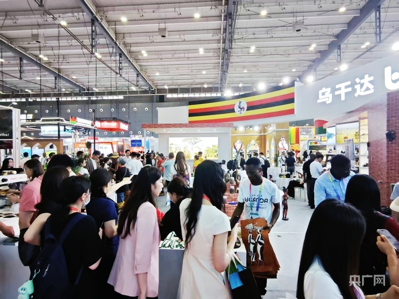 第四届中非经贸博览会展会现场(央广网记者杨清 摄)