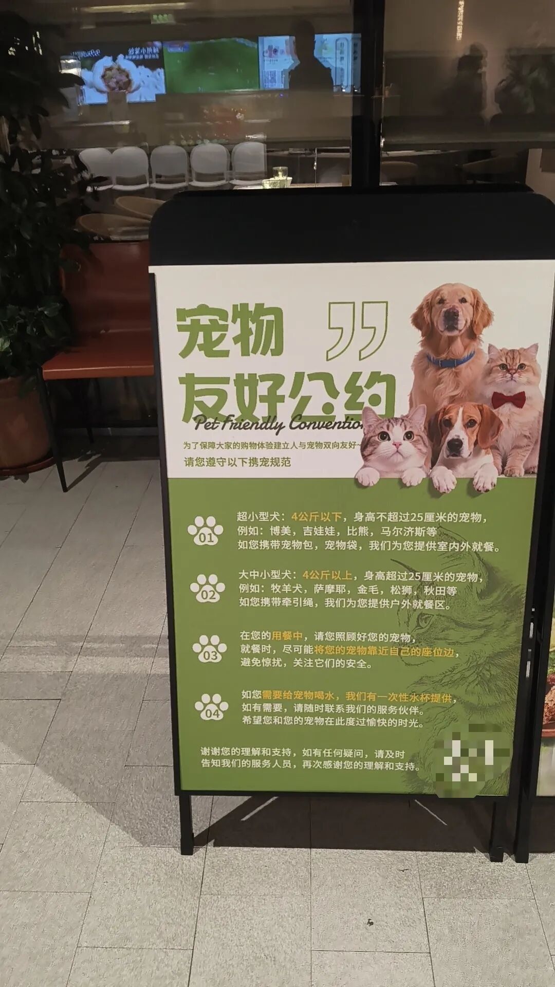 一家对宠物开放的上海餐厅。对于不同体型的狗狗，餐厅给出不同的就餐方案。（图/曹吉利 摄）