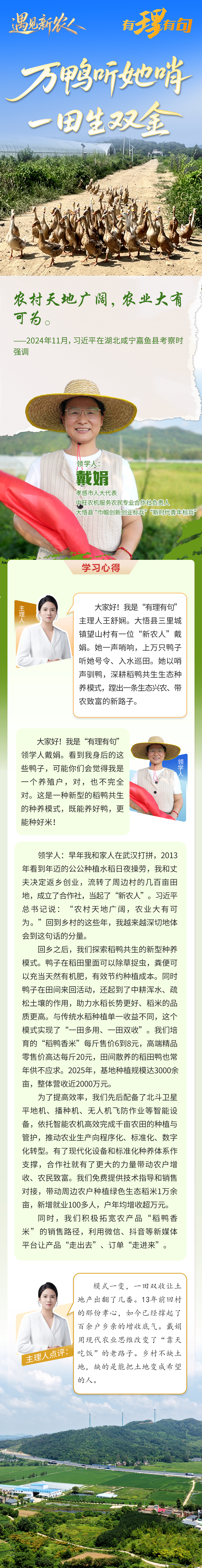 戴娟 图解.png.png