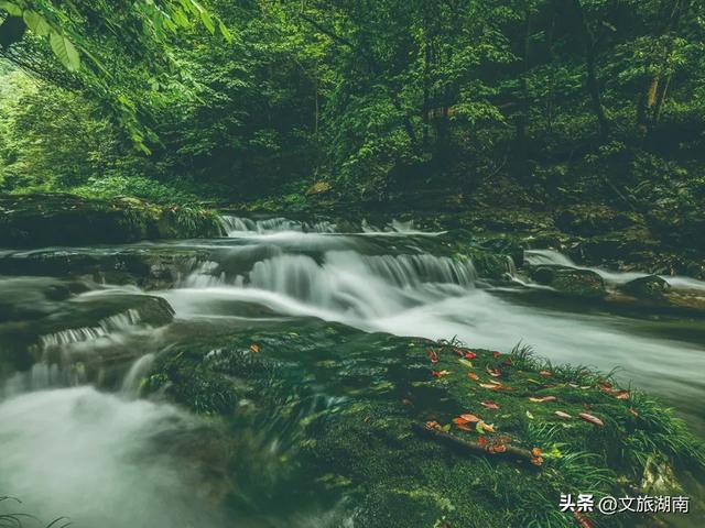 借母溪国家级自然保护区。图/湖南天气