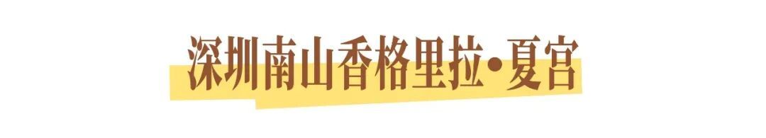 夏日新品上新餐饮美食促销韩式清新手绘图文风竖版海报 (4).jpg
