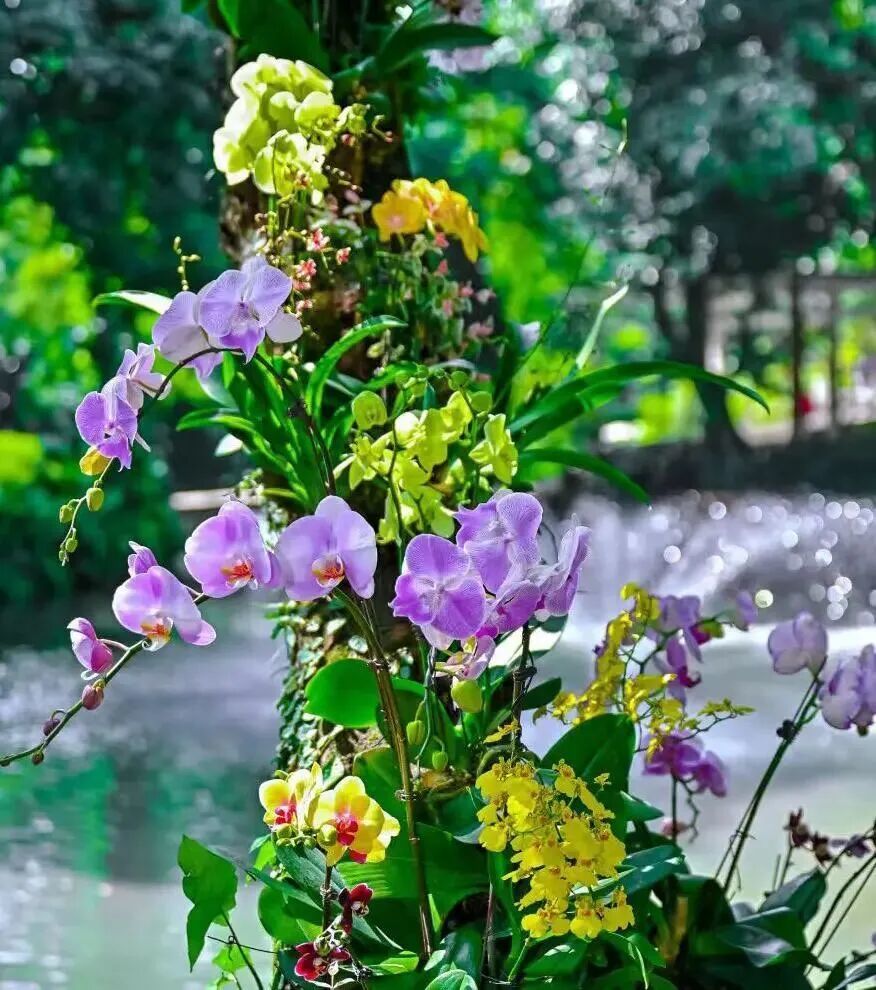 b0c84ca8d02e7ab9ec4f1118194ba61b.jpg