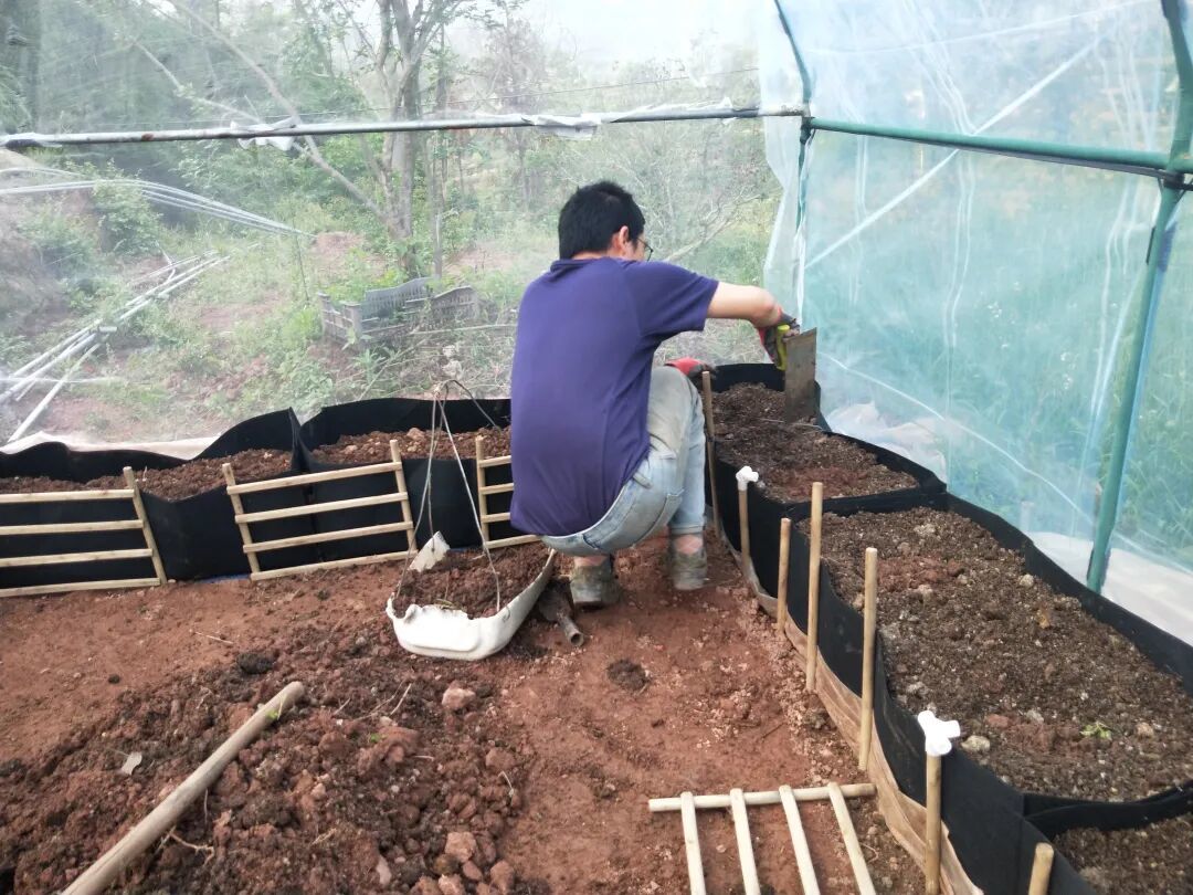 钟敏在劳作 | 受访者供图