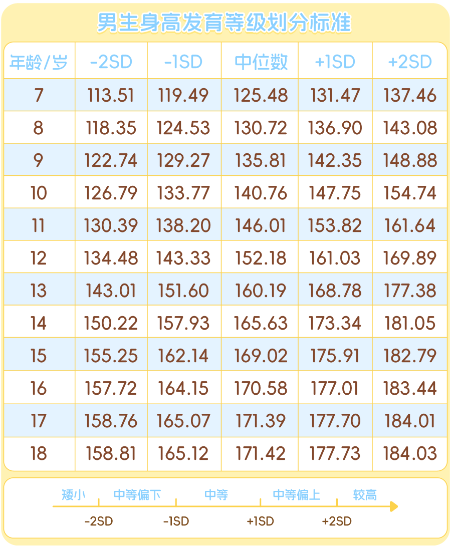 长高_画板 1 副本 4.png