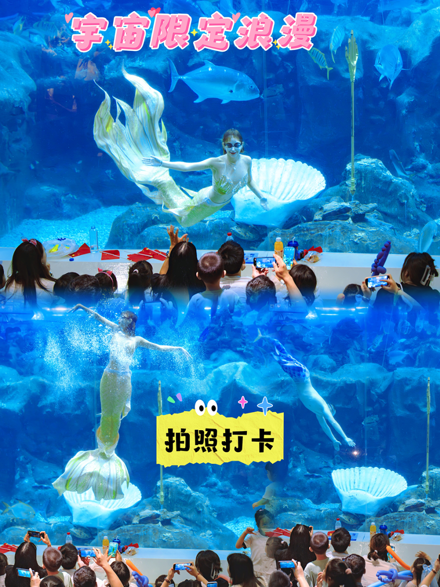 635abb8cf8c1eb45fb3bccba0b22334b.png