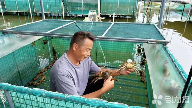 卢国丰举起两只青背白肚的太湖蟹。