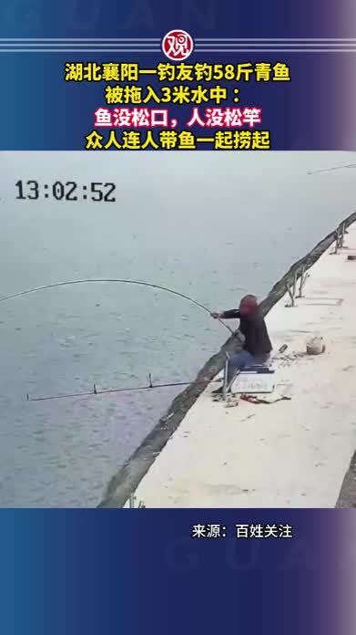 湖北襄阳一钓友钓58斤青鱼被拖入3米水中 ：鱼没松口，人没松竿，众人连人带鱼一起捞起
