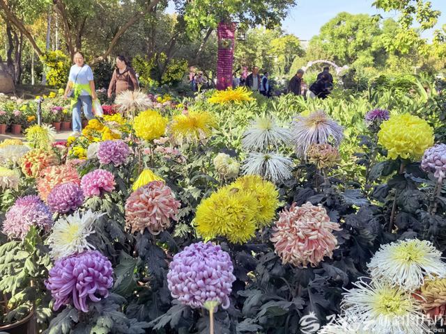 10月5日,游客在游园赏花。