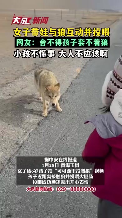 女子带娃与野生狼互动并投喂网友：舍不得孩子套不着狼小孩不懂事 大人不应该啊