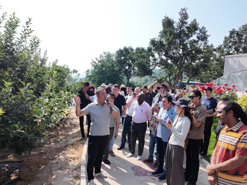考察团在天水市南山花牛苹果产业基地参访。新华社记者 赵瀚泽 摄