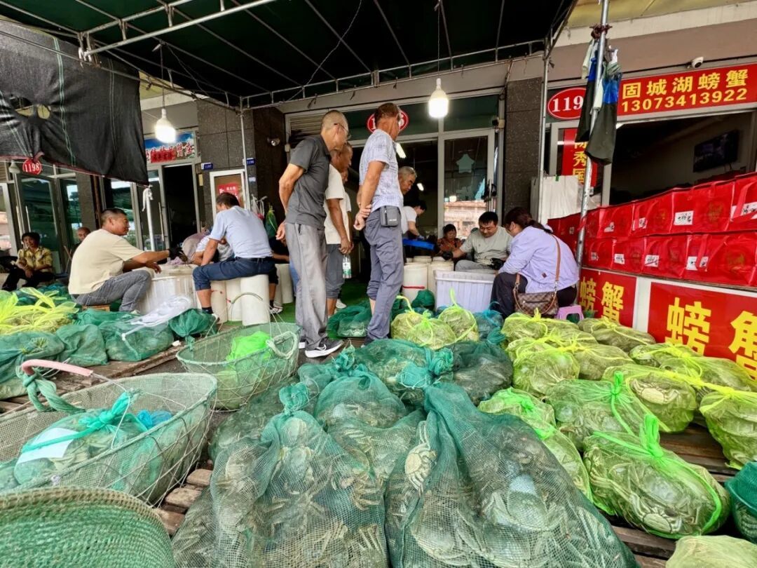 开捕当日 固城湖螃蟹迎来首轮交易小高峰素材5.jpg