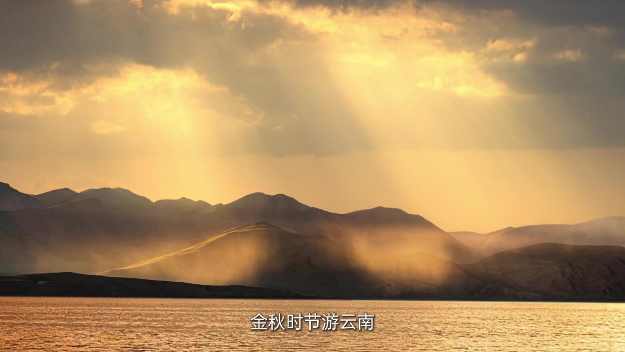 最新