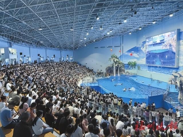 罗源湾海洋世界的海豚表演，吸引了众多游客。罗源县融媒体中心供图