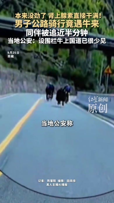 本来没劲了，肾上腺素直接干满！男子公路骑行竟遇牛来 同伴被追近半分钟 当地公安：设围栏牛上国道已很少见