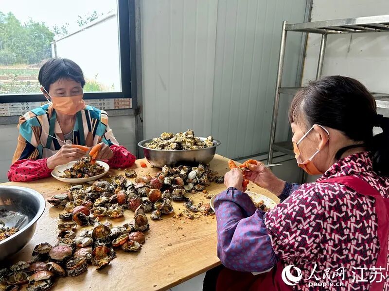 村民在剔螃蟹肉。人民网记者 王丹丹摄