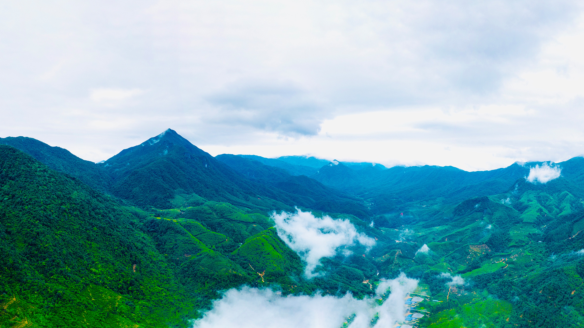 如今，三岳省级自然保护区（前身为岳山林场），已成为肇庆生态文明建设的样板。 梁恒志摄