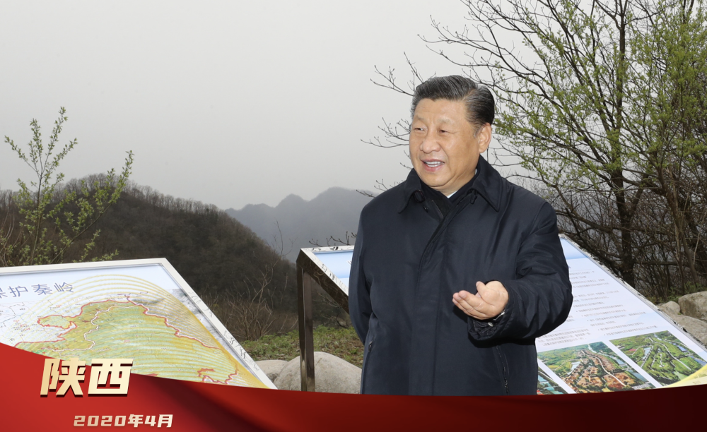 2020年4月20日,习近平总书记在陕西考察调研时,来到位于商洛市柞水县的秦岭牛背梁国家级自然保护区,了解秦岭生态保护工作情况。在绘有地图的展板前,习近平总书记为秦岭生态环境保护划下重点:“秦岭和合南北、泽被天下,是我国的中央水塔,是中华民族的祖脉和中华文化的重要象征。保护好秦岭生态环境,对确保中华民族长盛不衰、实现‘两个一百年’奋斗目标、实现可持续发展具有十分重大而深远的意义。”他还特别叮嘱领导干部:“要以功成不必在我的胸怀,真正对历史负责、对民族负责,不能在历史上留下骂名。”