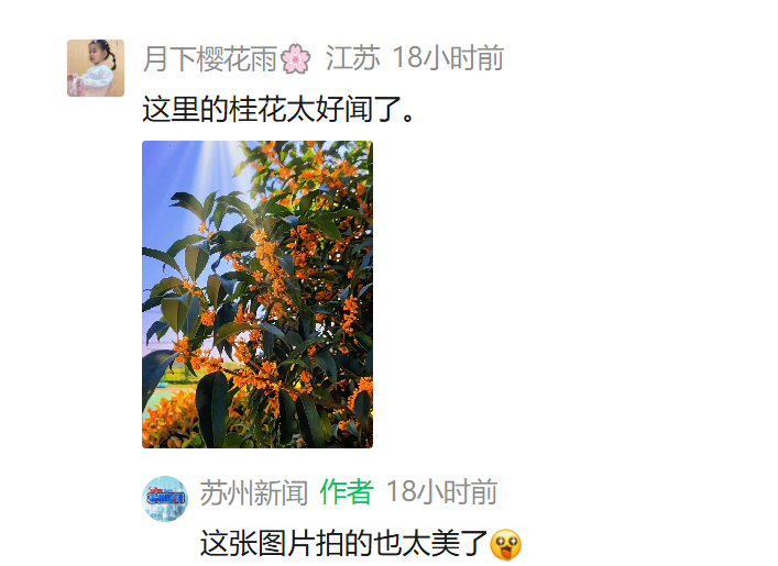 微信图片_20261014095722.png