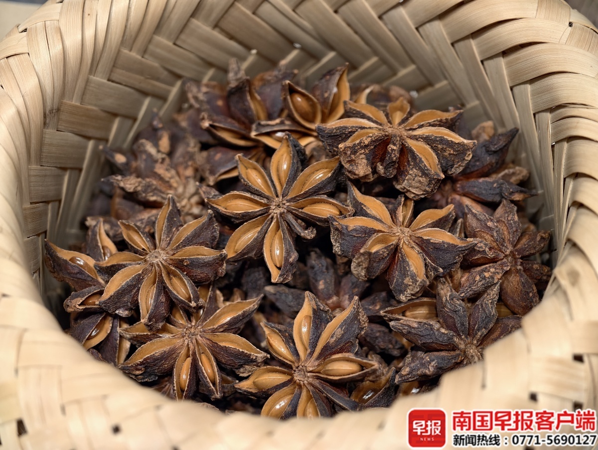 玉林八角。
