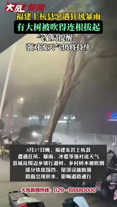 福建上杭县突遇狂风暴雨，有大树被吹得连根拔起，气象局提醒：强对流天气仍将持续