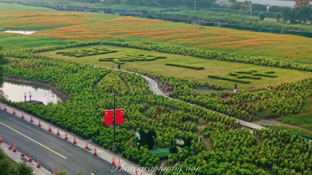 国庆湘湖|地肤草花海邂逅秋日晨光_5_von的影像实验室_来自小红书网页版.jpg