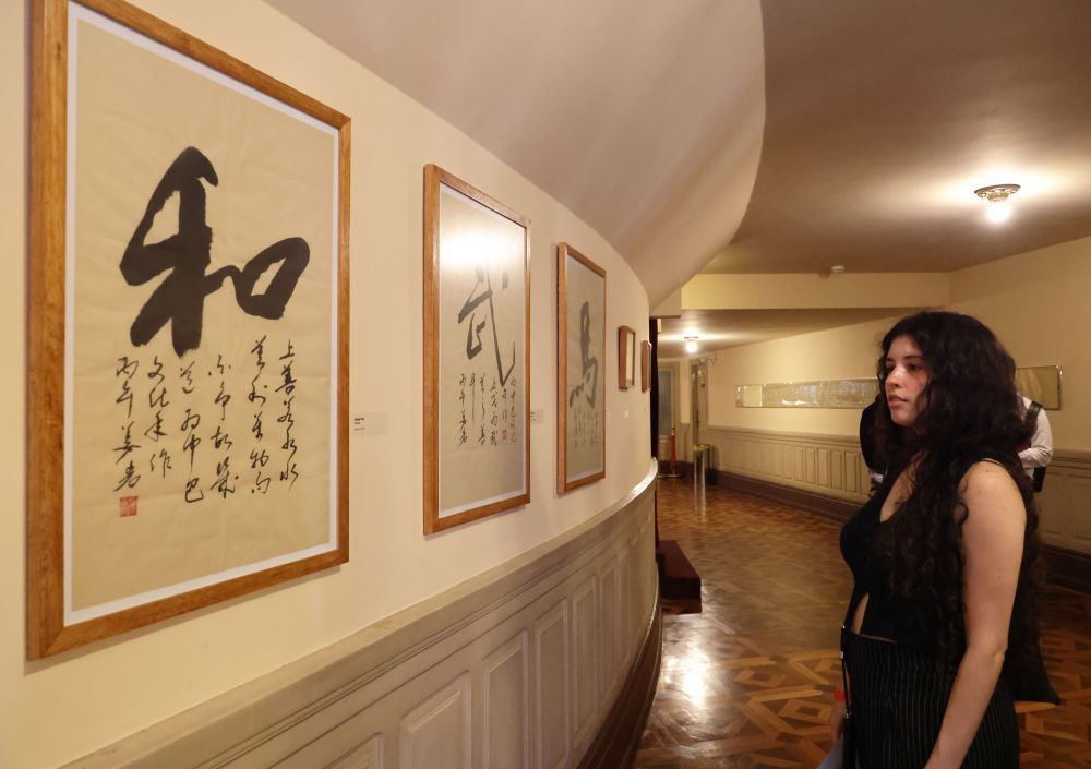 3月25日,“中巴文化年”活动之一“墨韵无界·心连万里——中巴书画艺术展”在巴西里约热内卢市立大剧院开幕。新华社记者 金皓原 摄
