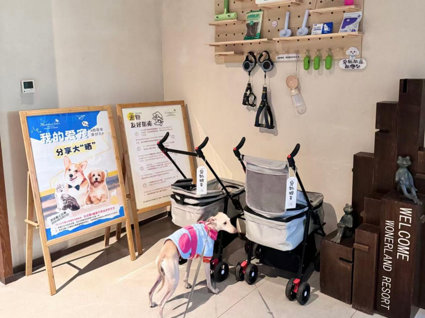 长兴芳草地宠物友好酒店