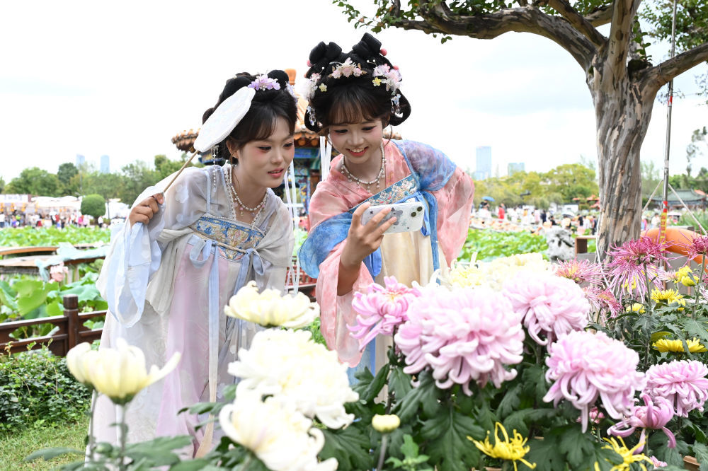 10月4日,游客在昆明市大观公园第32届金秋菊花文化展上拍摄菊花。新华社发(熊平祥 摄)