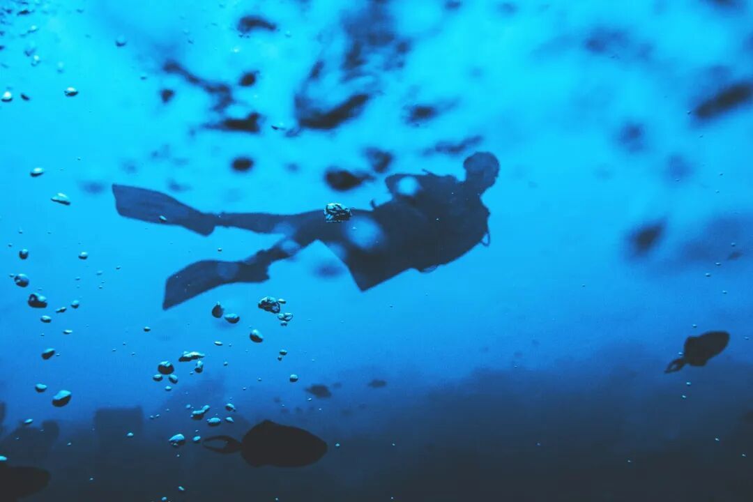 潜水时水压变化会导致耳内外气压不平衡,从而引发疼痛/图源:Unsplash