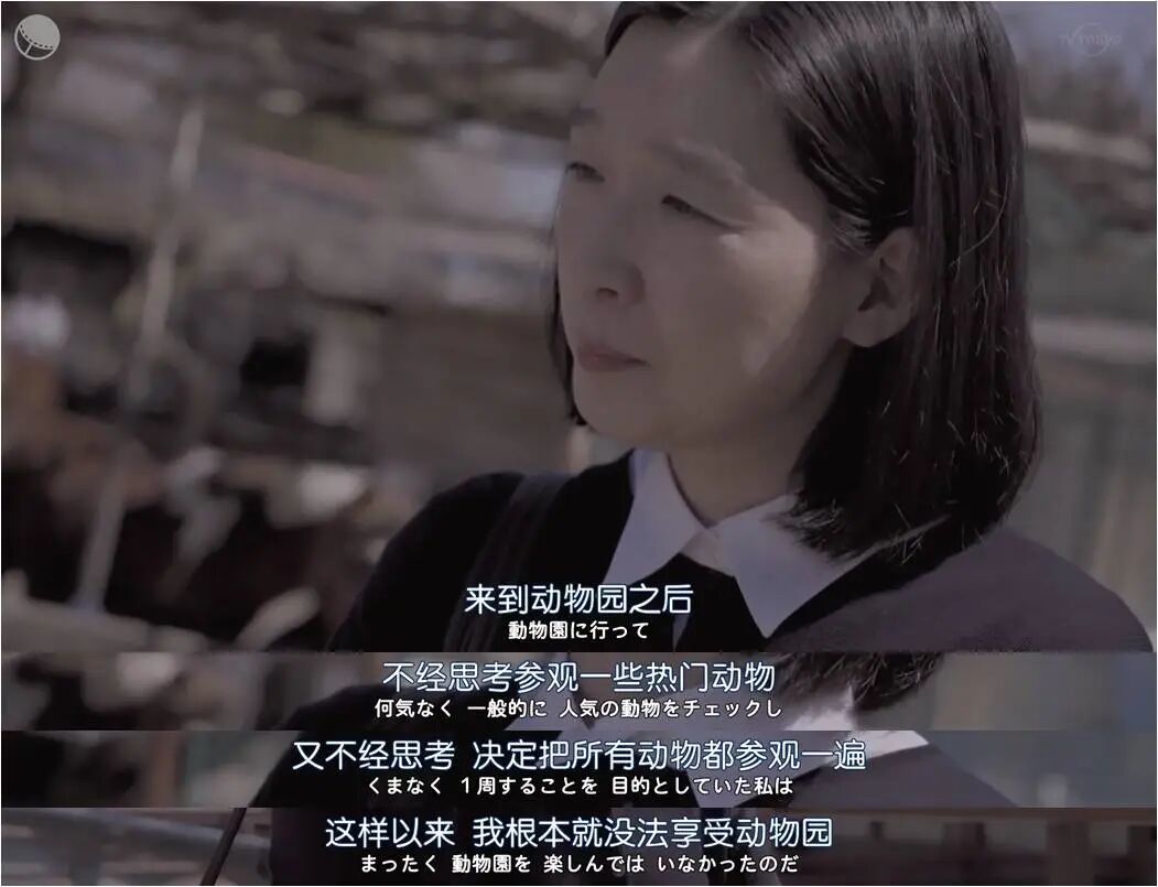 电视剧《独活女子的推荐》