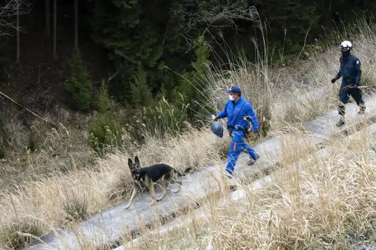 山中に靴、不明男児の物か 京都・南丹市、府警確認へ
