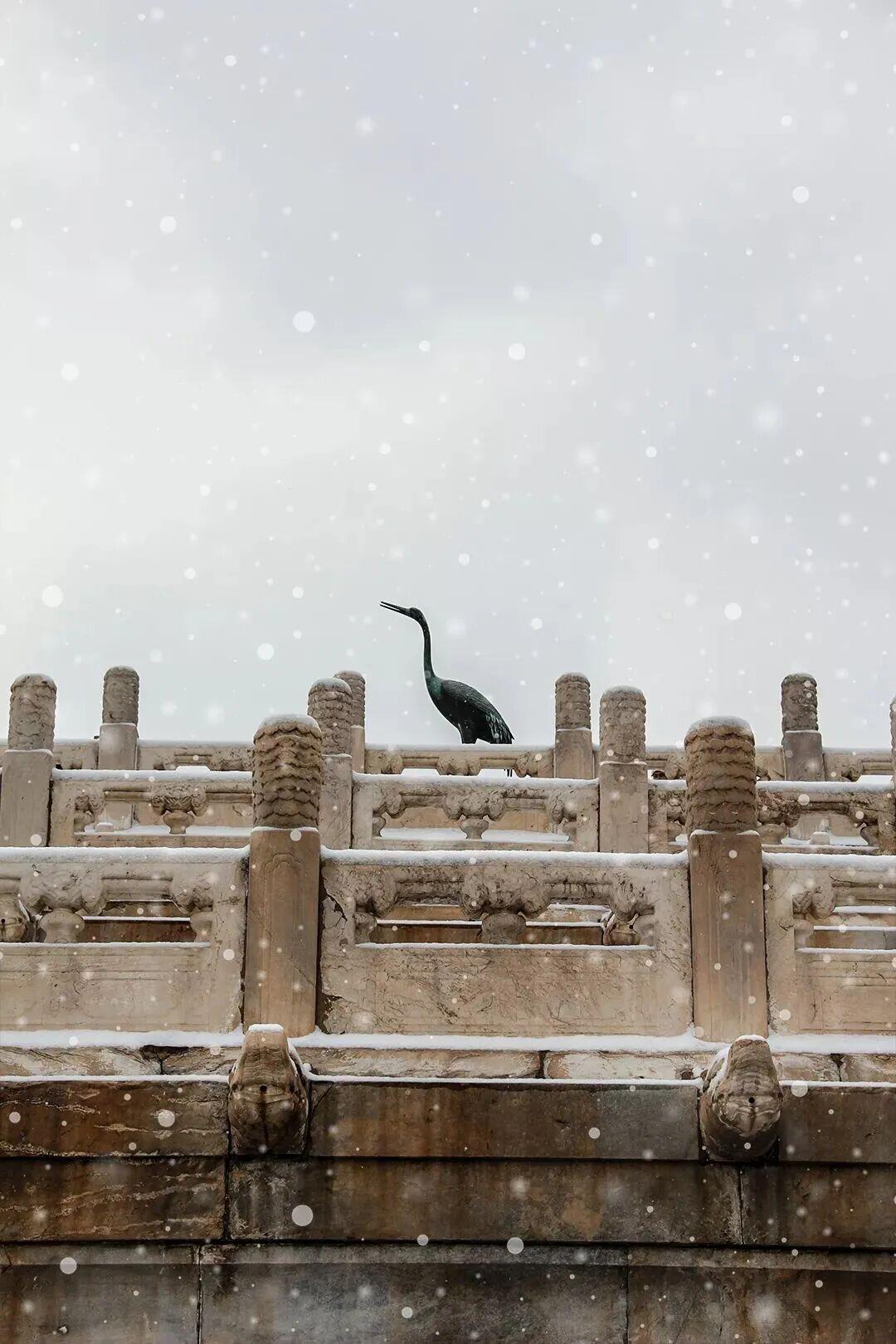 当第一片雪花悄落红墙,飞檐覆上蓬松的白,这座六百年的城,悄然变回记忆里的紫禁城。(来源:故宫博物院文化创意馆)