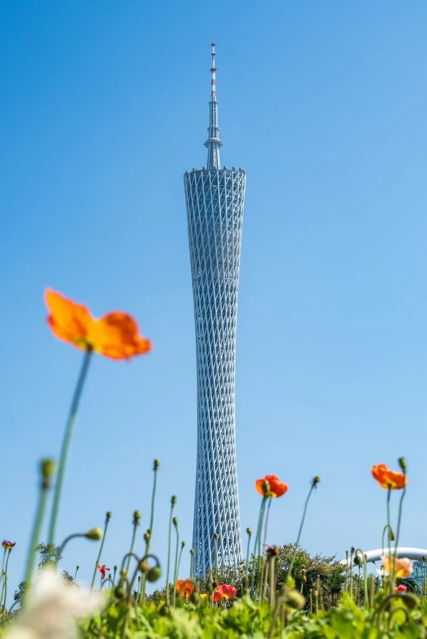 图虫创意-1674816501318942734.jpeg