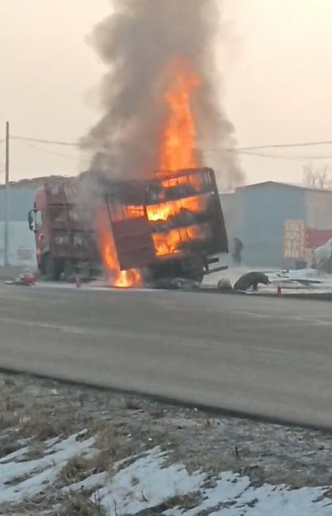 河南一满载活猪的大卡车突发大火,目击者:猪被烧得直叫唤