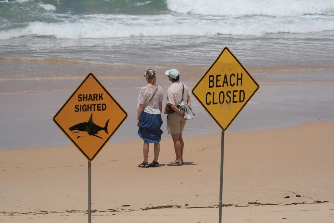 2026年1月20日,澳大利亚悉尼。一对夫妻站在沙滩上望向大海。(图/CFP)