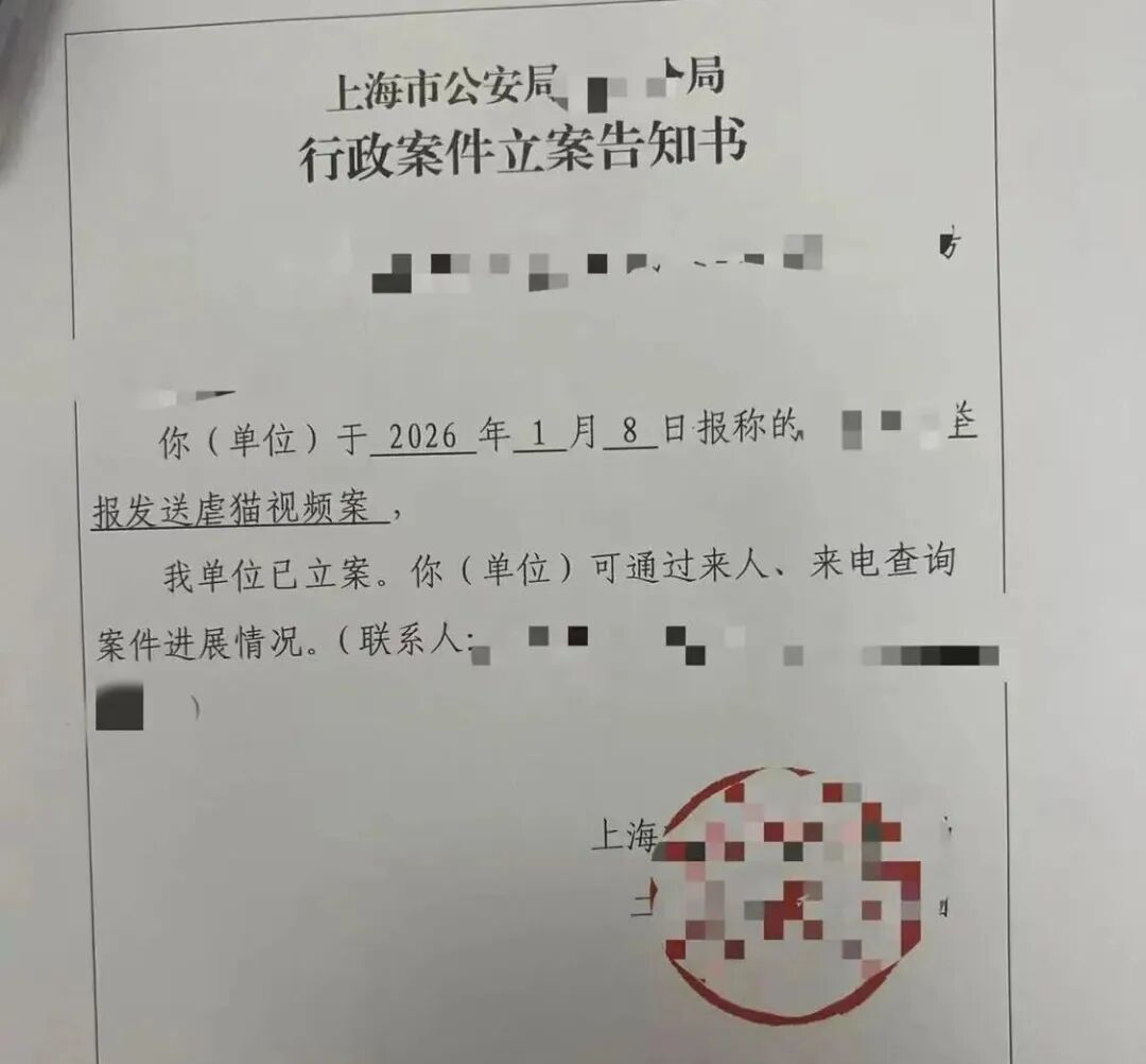 芝麻举报虐猫视频的立案通知