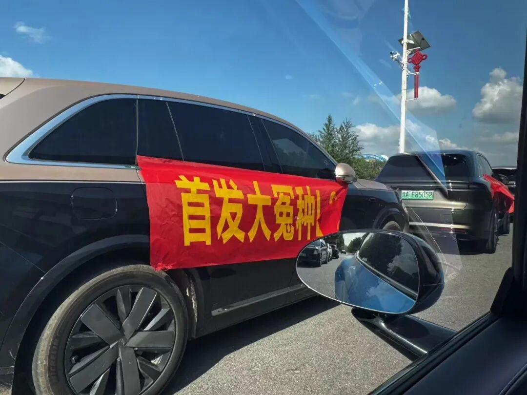 首发大冤种.jpg