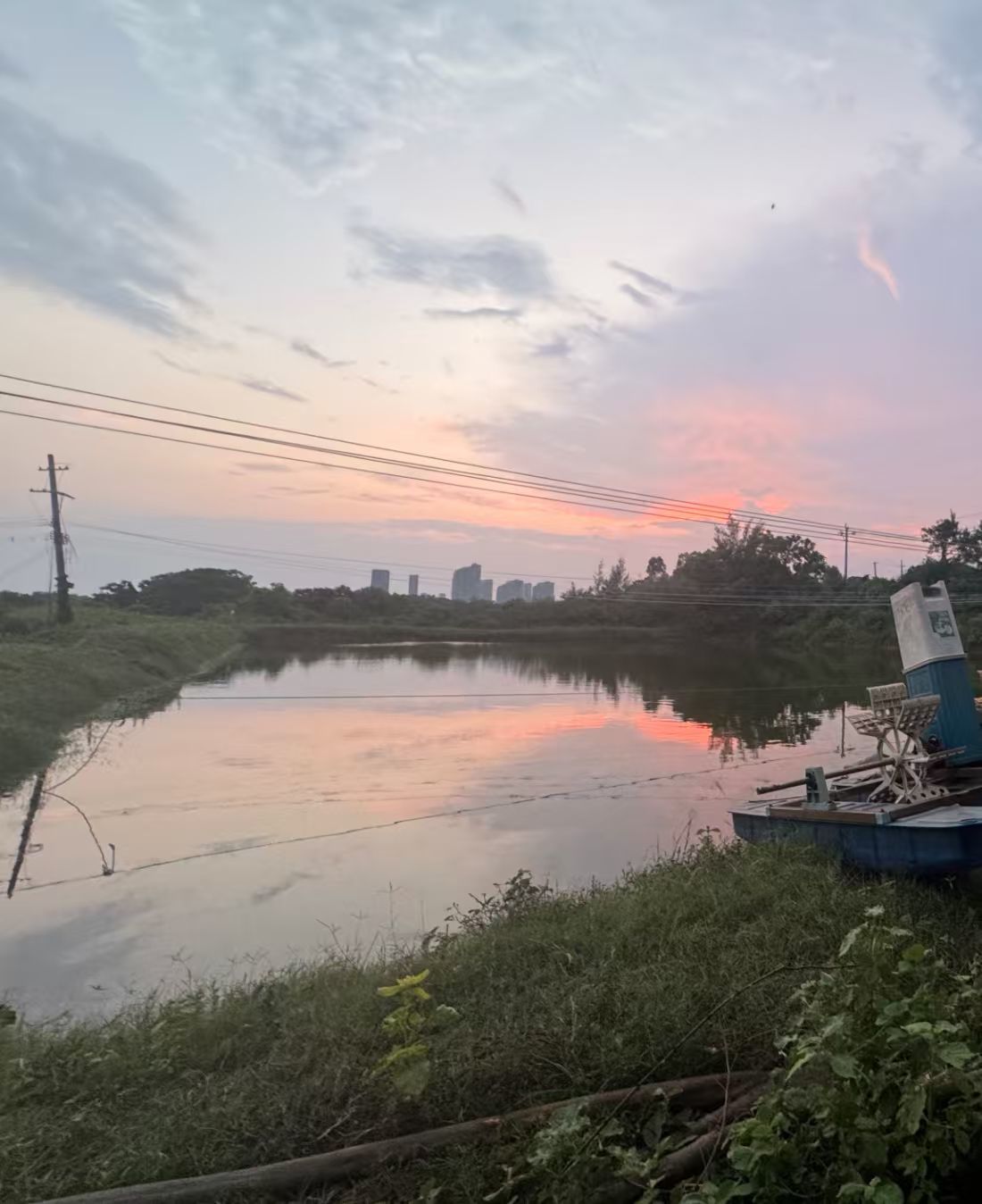 “梅姨”第一任丈夫所在渔村的虾塘 澎湃新闻记者 闫海龙 摄