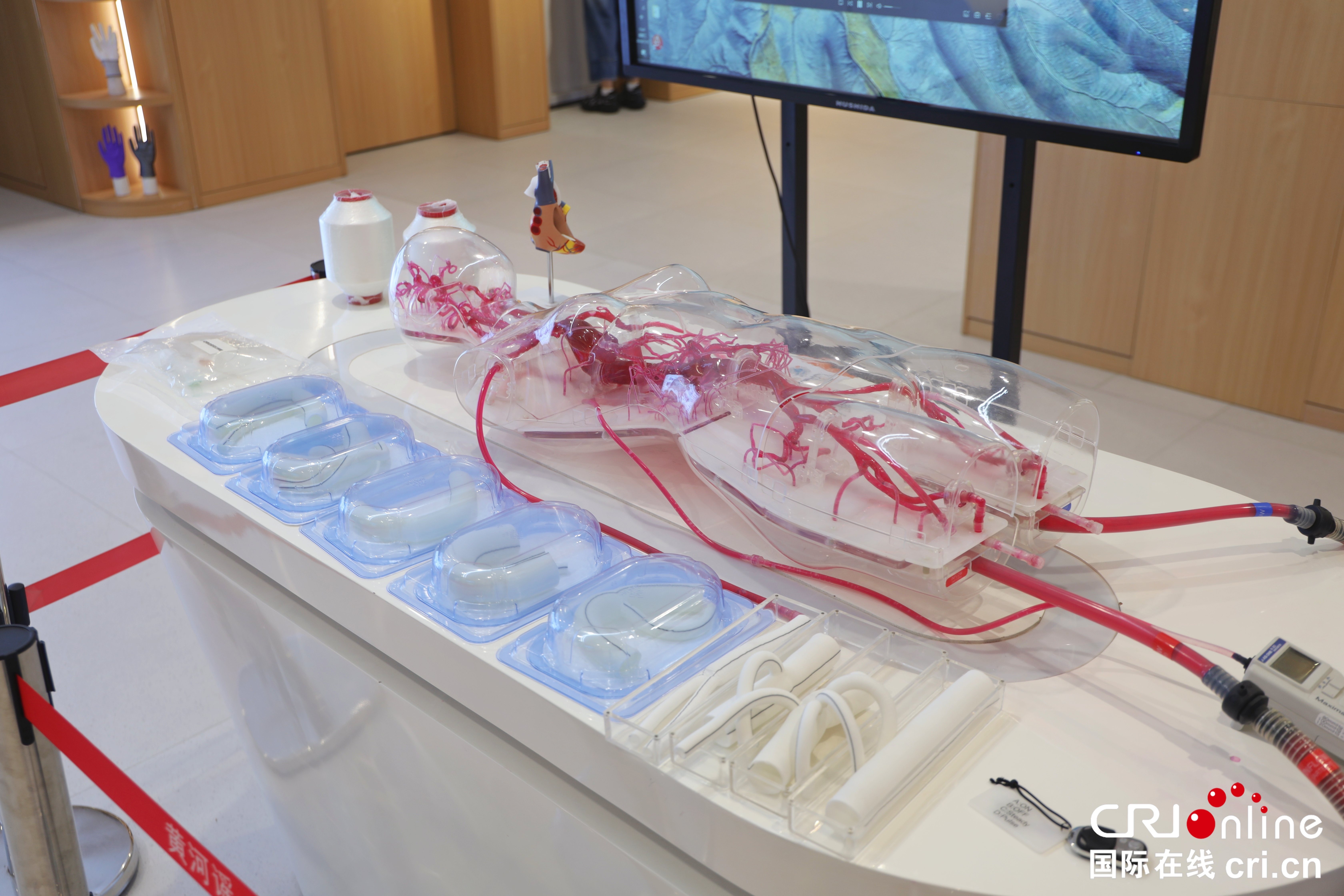 生命科技馆展示企业探索技术“织”出人工血管 摄影 陈天宇