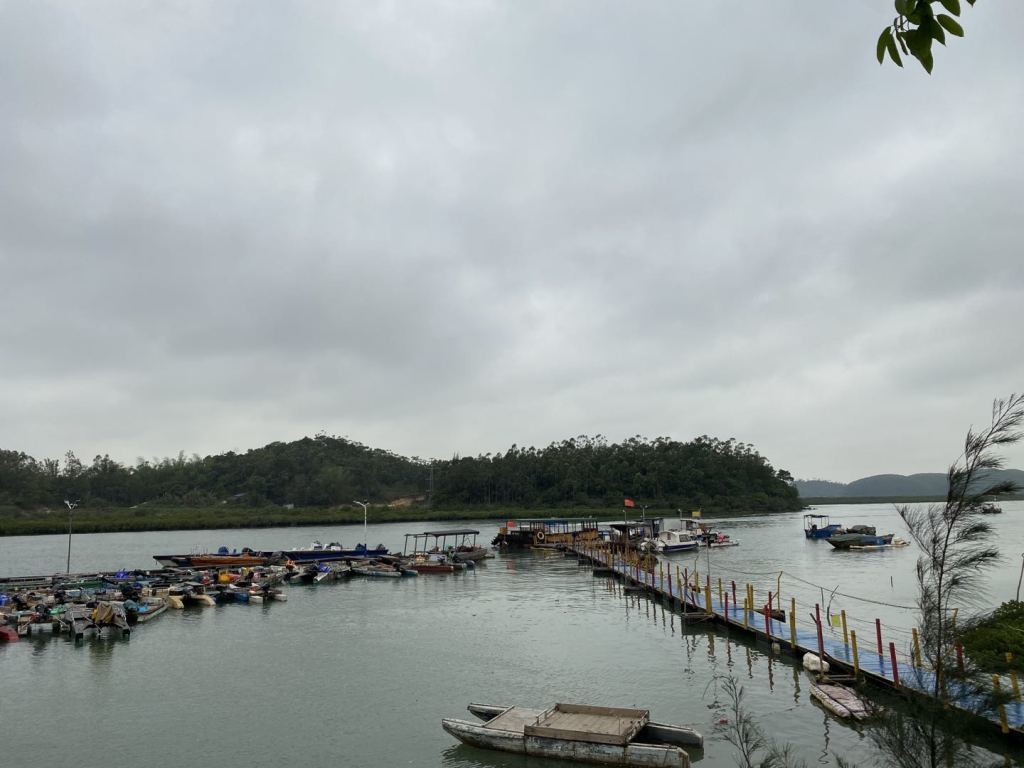 涉案项目地块位于钦州港岸边。本文图片均由受访者提供