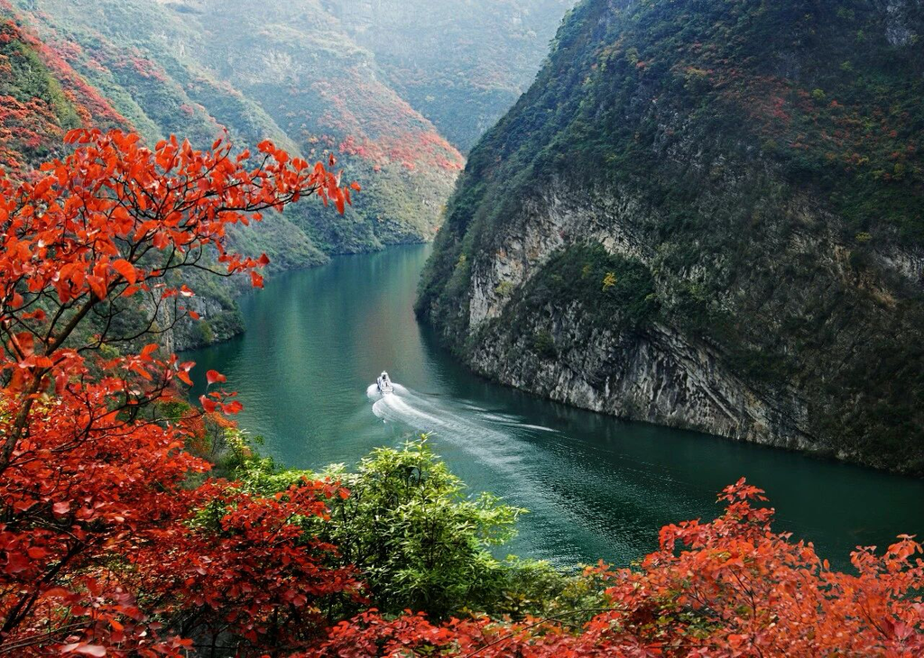 巫山红叶。重庆市文化旅游委供图