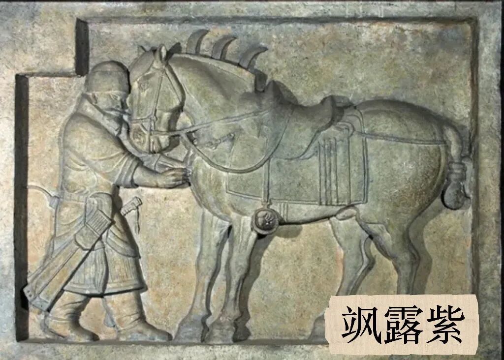 为什么马到了就会成功?