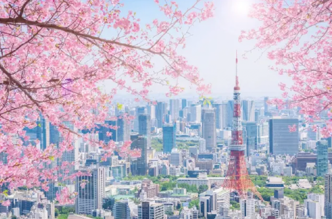 日本富豪有9个妻子12个娃?每天安排时间在各房之间奔走?