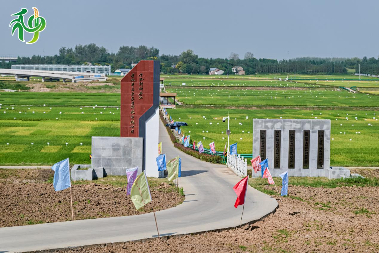 位于合肥的地展现场。主办方供图