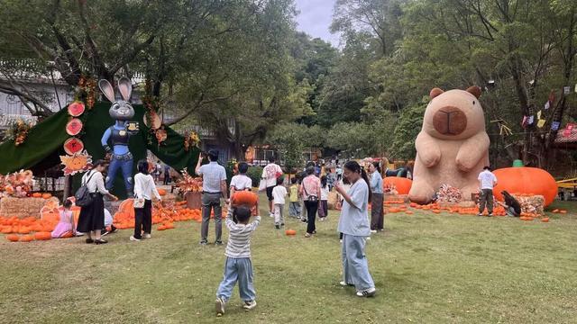 韶关华南虎园“南瓜奇遇记”秋日主题活动现场