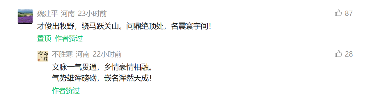 微信公众号“新乡日报”2026年7月30日推送文章《从天才少年到菲奖绿叶——菲尔兹奖背后的新乡力量》留言区截图