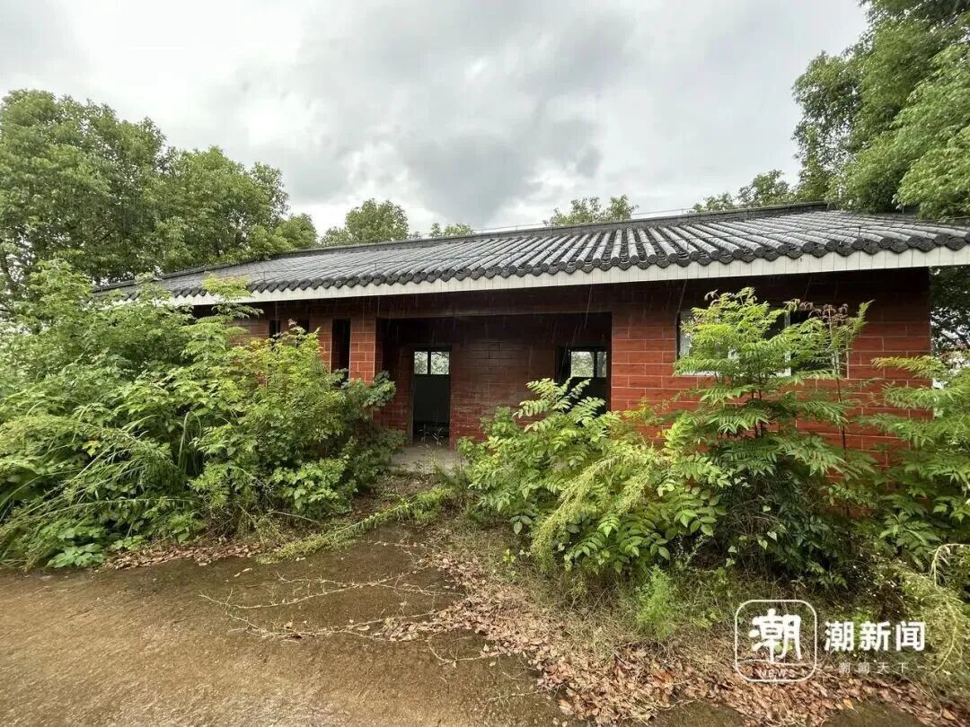 被杂草灌木“掩埋”的公共厕所。潮新闻记者 王嘉楠 季建荣 摄