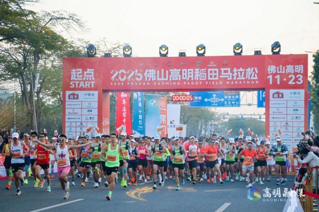 2025佛山高明稻田马拉松 洪海摄